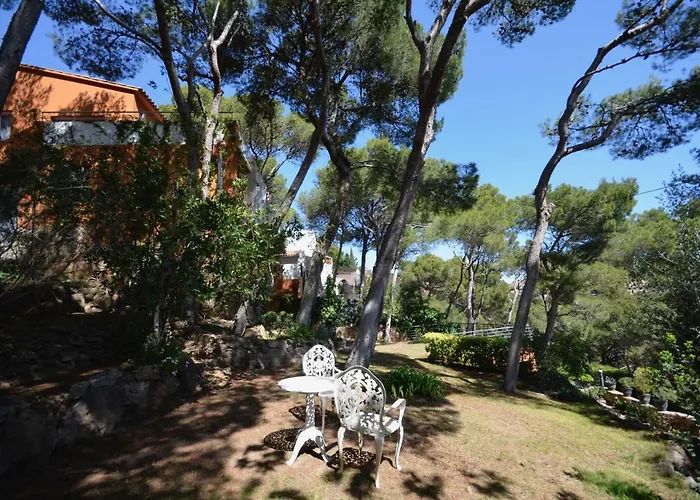 فيلة Mediterraneo - Ref. 249 بيغور